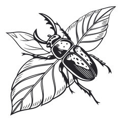 Minimilist illustration of a stag beetle with detailed horns perched on top of a leaf with intricate veins vector