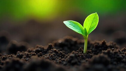 Fototapeta premium Close-up of a vibrant green sprout pushing through rich soil, symbolizing the emergence of new life and the power of natural evolution , seedling, earth