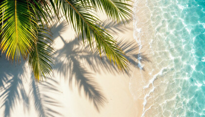 Obraz premium Top-down close-up of palm tree on tropical white sandy beach 