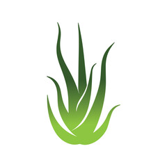 Minimalist aloe vera vector design for spa cosmetic and eco friendly beauty identity