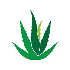 Clean aloe vera leaf silhouette designed for organic beauty and cosmetic wellness identity