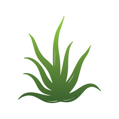 Aloe vera logo representing organic healing, skincare, and natural eco lifestyle