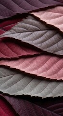 Closeup of overlapping autumn leaves with rich red and brown tones