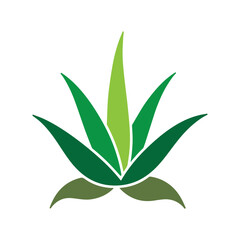 Aloe vera leaf design symbolizing healing, purity, and herbal skincare wellness