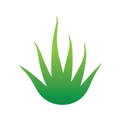 Minimalist aloe vera design created for herbal cosmetic and eco friendly spa branding