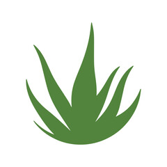 Aloe vera leaf design symbolizing strength, healing, and sustainable organic skincare
