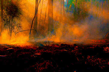 fire;departement