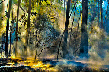 fire;departement