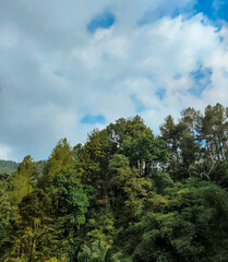 Lush Green Forest Hills Under Cloudy Blue Sky