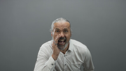 Fototapeta premium Man cupping hand to mouth in grey studio with long hoary hair, beard and white shirt, middle aged; excitement announcement.