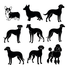 Vector illustration of collection of various dog breeds silhouette