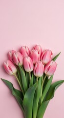 Beautiful pink tulips bouquet isolated on white background