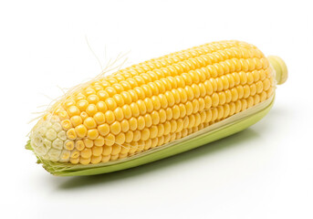 corn on the cob