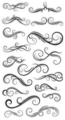 Elegant black and white ornamental swirls and flourishes isolated on white background