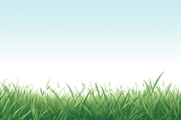 Obraz premium Grass backgrounds outdoors nature.