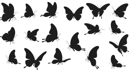 Silhouette collection of butterflies in various poses on white background