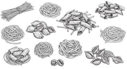 Hand drawn pasta varieties: diverse shapes in detailed monochrome sketches for culinary designs