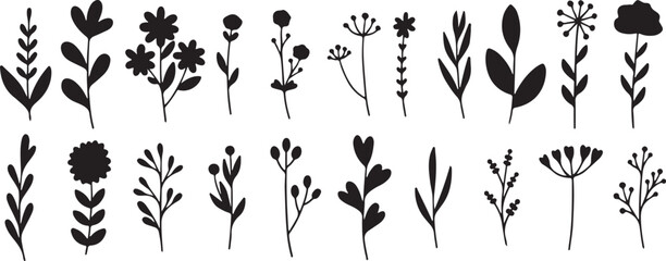 Flower, Leaf, Silhouettes, Plant, Botanical, Nature, Decorative, Green, Art, Design, Garden, Foliage, Organic, Flora, Beauty, Eco, Natural, Growth