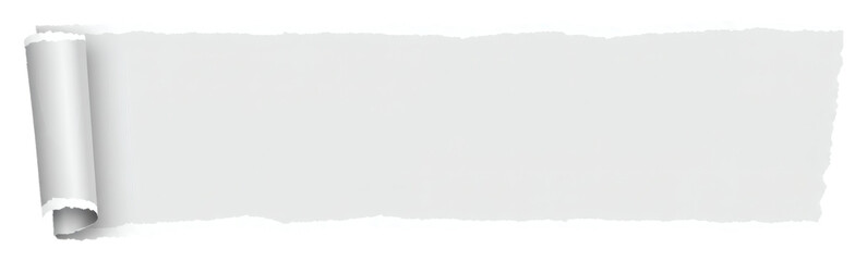 Obraz premium Torn Paper Banner with Rolled Edge