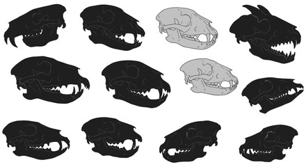 Detailed animal skull set with silhouette and line variations