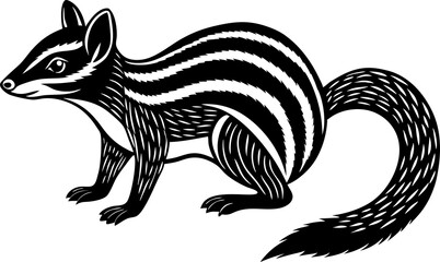Obraz premium squirrel on a vector art