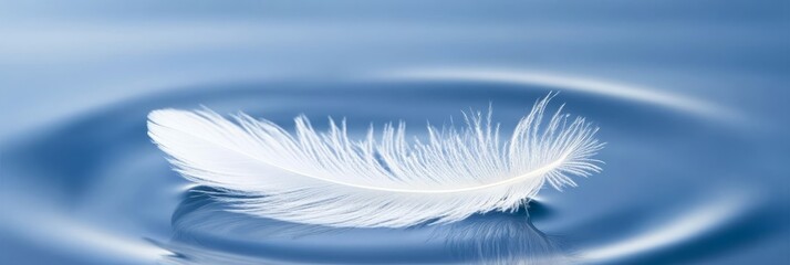 Delicate Feather Drifting on Calm Water Surface, Beautiful Reflection and Soft Ripple Texture