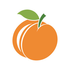 Orange fruit isolated on white background vector illustration with leaf