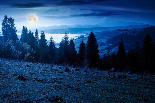 rural area of mountains in autumn at night. wonderful highland in full moon light observed from the hillside. meadows on rolling hills near spruce forest. alpine travel destination