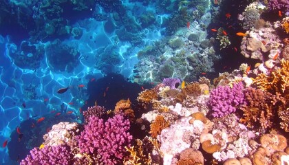Obraz premium A vibrant coral reef scene under the sea, teeming with colorful fish and diverse coral formations near the surface