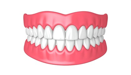 Obraz premium 3D model of a human mouth and teeth