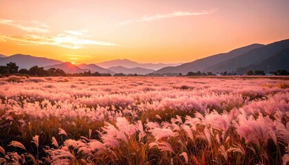 Golden hour bathes a vast field of pink-tinged pampas grass, backdropped by distant mountains under a clear, vibrant sky