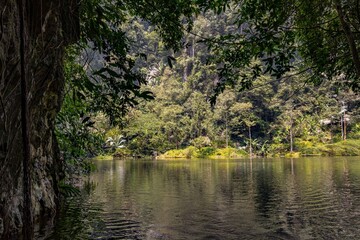 Tasik Cermin Hidden World Ipoh