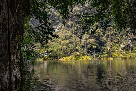 Tasik Cermin Hidden World Ipoh