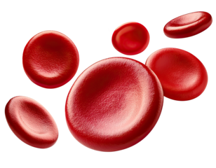 Flowing red blood cells isolated on solid white background