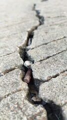 Damaged road 
