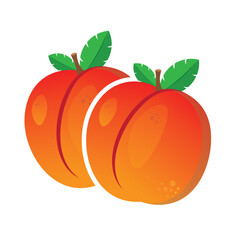 Apricot fruit beautiful drawing cute in flat concept in drawing illustration with cool in templete illustration in vector .