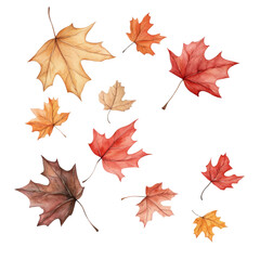 Falling autumn leaf watercolor red orange yellow brown seasonal isolated transparency background