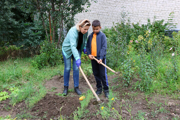 A woman and a boy work in the garden near the house: digging, pulling weeds, and tending to the...