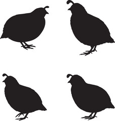 Obraz premium Four silhouetted quail birds displayed in a clean white background