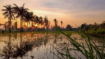 A beautiful morning view. The sun was just rising, its orange hues. The sky was a beautiful blend of blue and orange.