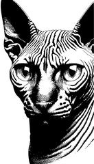 Striking black and white portrait captures unique Sphynx cat's intense gaze and wrinkled skin texture