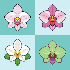 Vibrant Flat-Style Orchid Flower Illustrations: Pink, White, and Green Variations.
