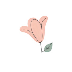 Elegant Pink Tulip Illustration: Perfect for Spring Designs