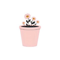 Pink Potted Daisies: Simple Floral Illustration