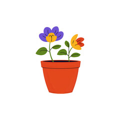 Vibrant Potted Flowers: Illustration of Two Blooming Plants