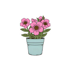 Pink Flowers in Teal Pot: A Botanical Illustration