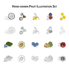Hand-drawn fruit illustration set with coconut, banana, figs, lemons, blueberries, melon, cherimoya, pomegranate, and more in both colored and vintage sketch styles
