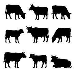 A cow set silhouette vector style illustration