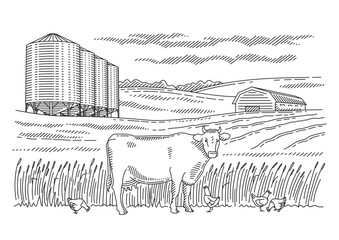 Silo tower, cow and chickens on the background of fields