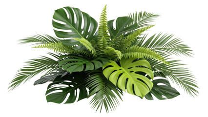 Tropical green monstera and palm leaves arrangement
